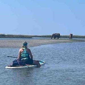 Meet your Posher, Jackie